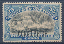 BELGIAN CONGO 1909 ISSUE TYPO. COB 43 LH - Ungebraucht