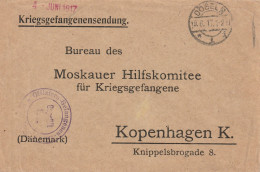 Allemagne Lettre Prisonnier De Guerre Officiers Döbeln Pour Le Danemark 1917 - Prigionieri