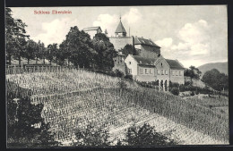 AK Gernsbach, Schloss Eberstein Mit Weinberg  - Gernsbach