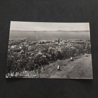 Cartolina 1960. Bolsena. Panorama E Lago. Condizioni Eccellenti. Nuova. - Viterbo