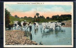 16993 Catskill Mts, N.Y. - "Watering The Milk" Envoyé En 1925 - Signe Du Svastika Au Verso - Catskills