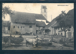 17203  Schinznach-Dorf  Centre Du Village Animé Avec Char De Foin Tiré Par Un Boeuf - Otros & Sin Clasificación