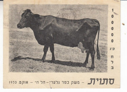 Israel 1950 Champion Cow Ppc (2-262) - Cartas & Documentos