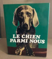 Le Chien Parmi Nous - Nature