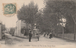 CPA-84-CAVAILLON-Avenues Du Pont Et Du Cheval Blanc-Animée - Cavaillon