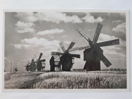 Le Moulin à Vent  - Romania - Roumanie - En Bessarabie - Windmühlen