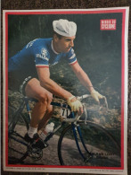 Rik VAN LOOY   Poster 24x32 ( Supplément Du MIROIR DU CYCLISME ) - Ciclismo