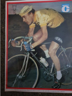 Hermann VAN SPRINGEL   Poster 24x32 ( Supplément Du MIROIR DU CYCLISME ) - Cyclisme