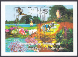 Inde India 2010 MNH MS International Year Of Biodiversity, BIrds, Owl, Women, Vulture, Duck, Crab, Flower, Flowers Sheet - Neufs