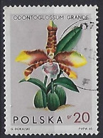 Poland 1965  Orchideen (o) Mi.1612 - Oblitérés