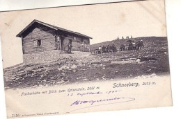 Schneeberg Fischerhütte Mit Blick Zum Xaiserstein , Timbrée En 1905 - Fischamend