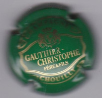 GAUTHIER CHRISTOPHE N°5 - Altri & Non Classificati