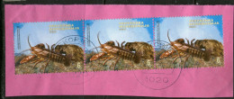 Macedonia,2009 Cut Squer,Mi#/519 Ancel As Scan - North Macedonia