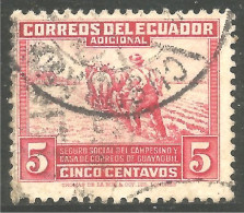 314 Equateur Laboureur Plowing Cheval Horse Pferd (ECU-113a) - Agriculture