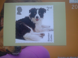 Dog, Chien,Border Collie - Briefmarken (Abbildungen)