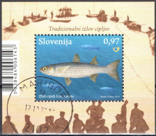 SLOVENIA, FAUNA, PESCI, FISH, 2013, USATO Mi:SI BL70, Scott:SI 1009, Yt:SI BF69 - Slowenien