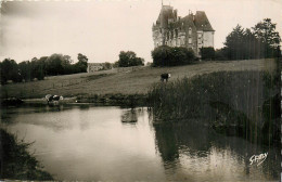 85* CHANTONNAY Etang Et Chateau  De La Mouhee  (CPSM 9x14cm)        RL28,0978 - Chantonnay