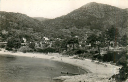 83* LE LAVANDOU   La Fossette  CPSM(10x14cm)      RL31,0737 - Le Lavandou