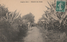 CPA-83-COGOLIN-Chemin Des Aloes - Cogolin