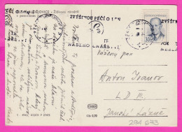 294673 / Czechoslovakia - České Budějovice - Žižka Square Monument Jan Žižka PC 195. USED 30h President Zapotocky Flamme - Covers & Documents