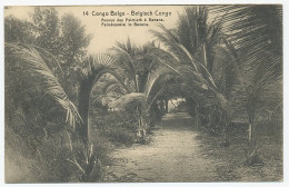 Postal Stationery Belgian Congo Palm Tree - Banana - Alberi