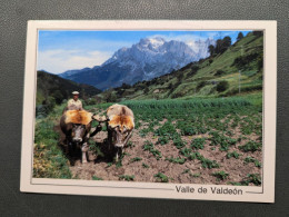 ESPAGNE VALLE DU VALDEON - Attelages