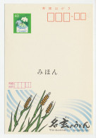 Specimen - Postal Stationery Japan 1984 Corn - Grain  - Agriculture