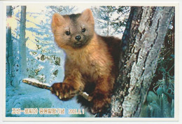 Postal Stationery Korea 2005 Marten - Weasel - Autres & Non Classés