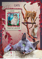 Sierra Leone 2016; Cats, Gatti, Chats, Katzen. S/S. - Chats Domestiques