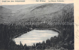 43497961 Wildsee Schwarzwald Bei Ruhstein  - Baiersbronn