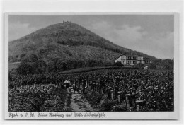 39099581 - Rhodt An Der Weinstrasse. Ruine Rietburg Villa Ludwigshoehe Ungelaufen  Gute Erhaltung. - Landau