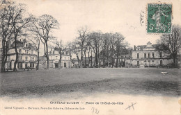 72-CHATEAU DU LOIR-N°3893-D/0101 - Chateau Du Loir