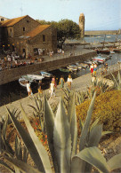 66-COLLIOURE-N°3896-D/0107 - Collioure