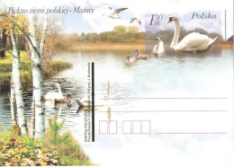 BIRDS POLAND - Prepaid Postal Letter With Mute Swan MNH - Collections, Lots & Séries