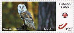 DUOSTAMP** / MYSTAMP** - Chouette Effraie / Kerkuil / Schleiereule - Tyto Alba - Neufs