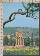 116268GF/ AGRIGENTO, Valle Dei Templi, Tempio Dei Dioscuri - Agrigento