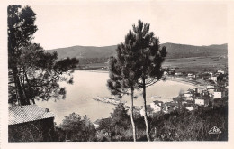 83-LE LAVANDOU-N°T1200-G/0317 - Le Lavandou