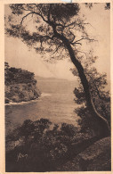 83-TOULON-N°T1201-H/0003 - Toulon