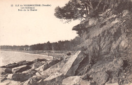 85-ILE DE NOIRMOUTIER-N°T1208-D/0377 - Ile De Noirmoutier