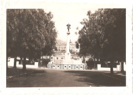 Dépt 06 - MENTON - Photographie Ancienne 6,1 X 8,7 Cm, Datée 18 Juillet 1939 - AVENUE ÉDOUARD VII - Monument - (photo) - Menton