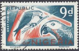 NIGERIA 1965 - Yvert 184° - Grey Parrot | - Papagayos
