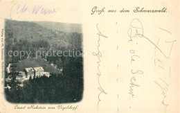 43494193 Ruhestein Blick Vom Vogelskopf Ruhestein - Baiersbronn