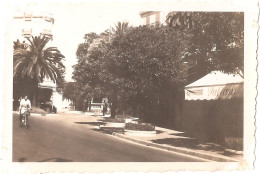 Dépt 06 - MENTON - Photographie Ancienne 5,8 X 8,6 Cm, Datée 18 Juillet 1939 - RUE PARTOURNEAUX - Les Orangers - (photo) - Menton