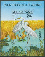 Ungarn 1980 Europ. Naturschutz Vögel Block 146 B Postfrisch Geschnitten (C92570) - Blocs-feuillets