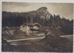 1960 AMPEZZO CARNIA RIFUGIO TITA PIAZ MONTE PURE / CARNIA / TOLMEZZO / UDINE - Sonstige & Ohne Zuordnung