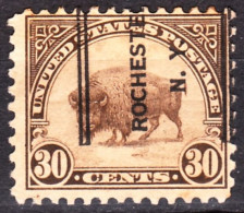 USA Precancels New York 1925 Sc569 30c Buffalo. ROCHESTER / N. Y. Double Lines - Prematasellado