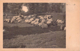 German Feldpost WW2 To Africa - 4. Kompanie Kraftwagen-Transport-Regiment 4 (Speer) Der Luftwaffe Posted Rossla 14.5.194 - Militaria