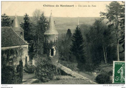 51  CHATEAU DE MONTMORT UN COIN DU PARC TB ETAT - Montmort Lucy