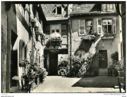 CPM 68 RIQUEWIHR COUR DES VIGNERONS TB ETAT - Riquewihr