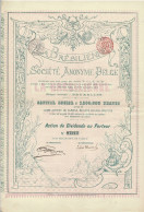 - Titre De 1898  - La Brésilienne - Société Anonyme Belge - Déco - Agriculture